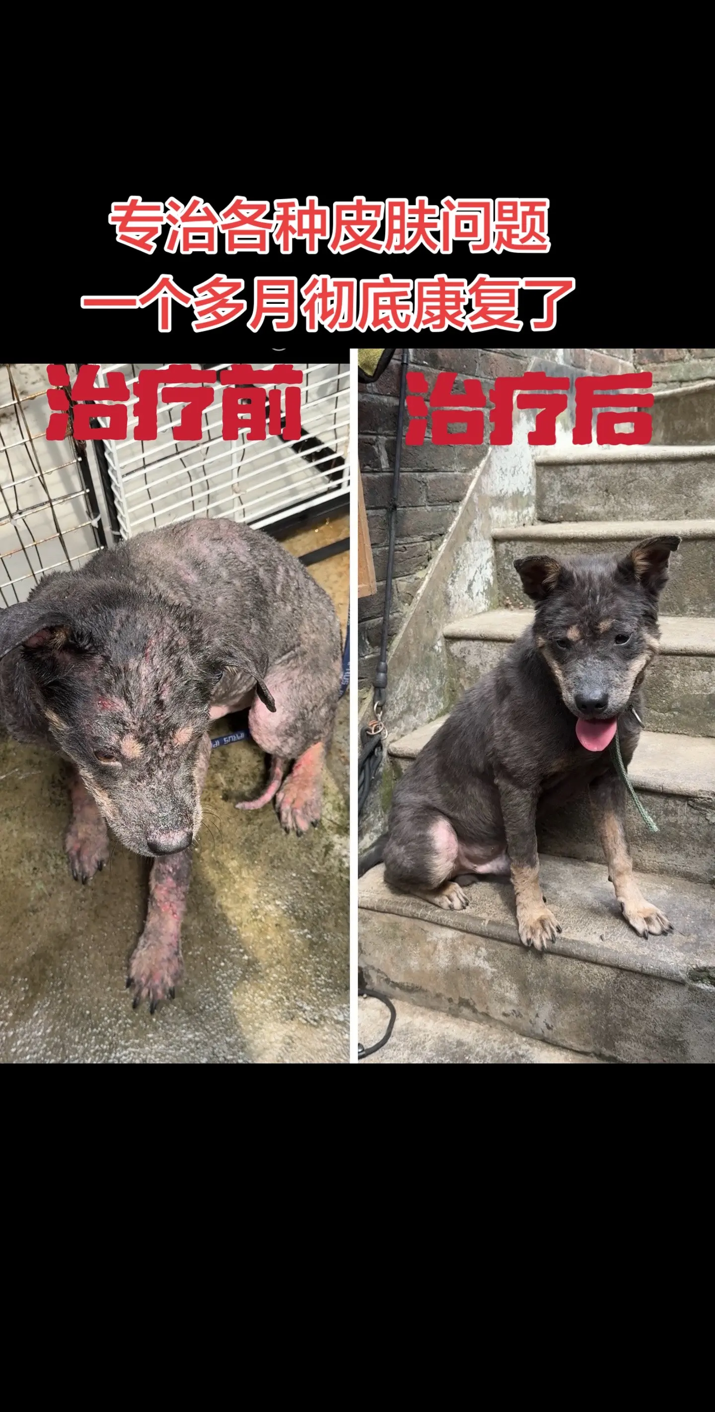 皮肤问题可以治疗咨询