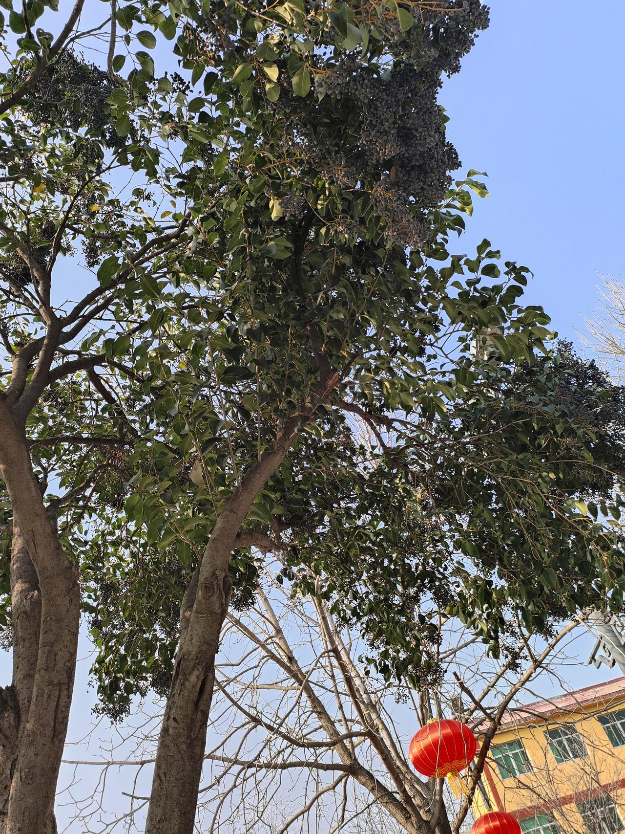 家里有个“拎不清”的人，是全家的灾难，再亲也没用！
 
过日子，不怕穷，不怕累，