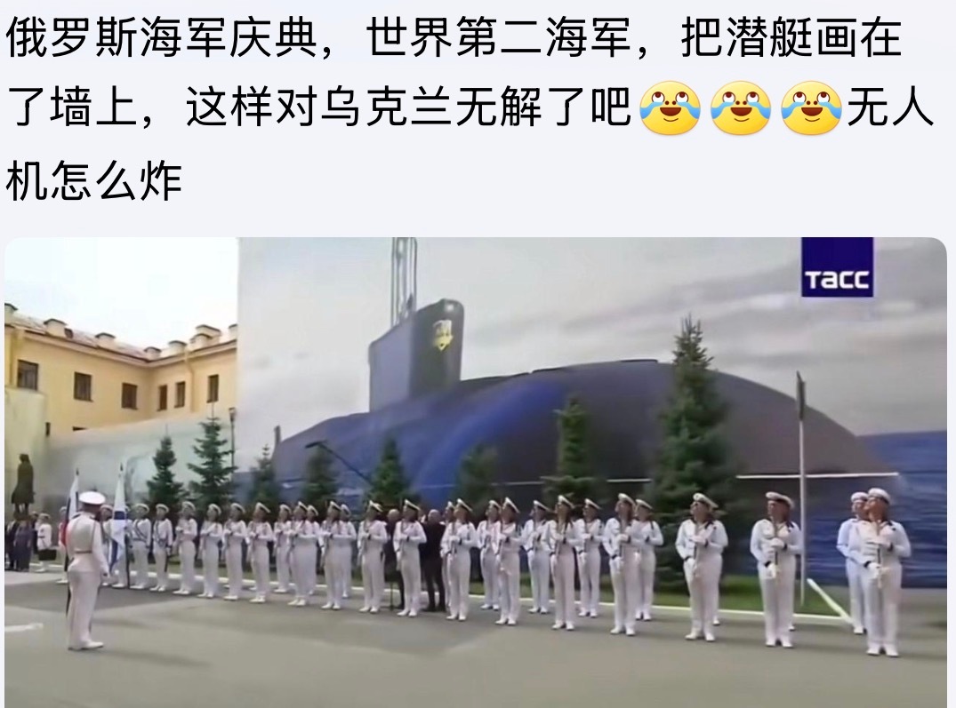 哈哈哈😂这下可真正难倒了乌克兰的无人机部队啦啦啦。。。俄乌战争