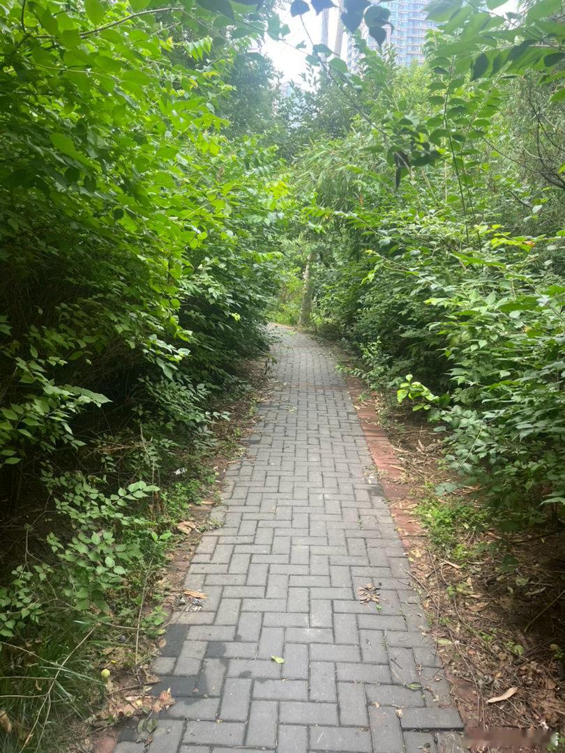 顺路的话我们看一样的风景不顺路的话祝我们都能看到自己想要的风景新浪娱乐