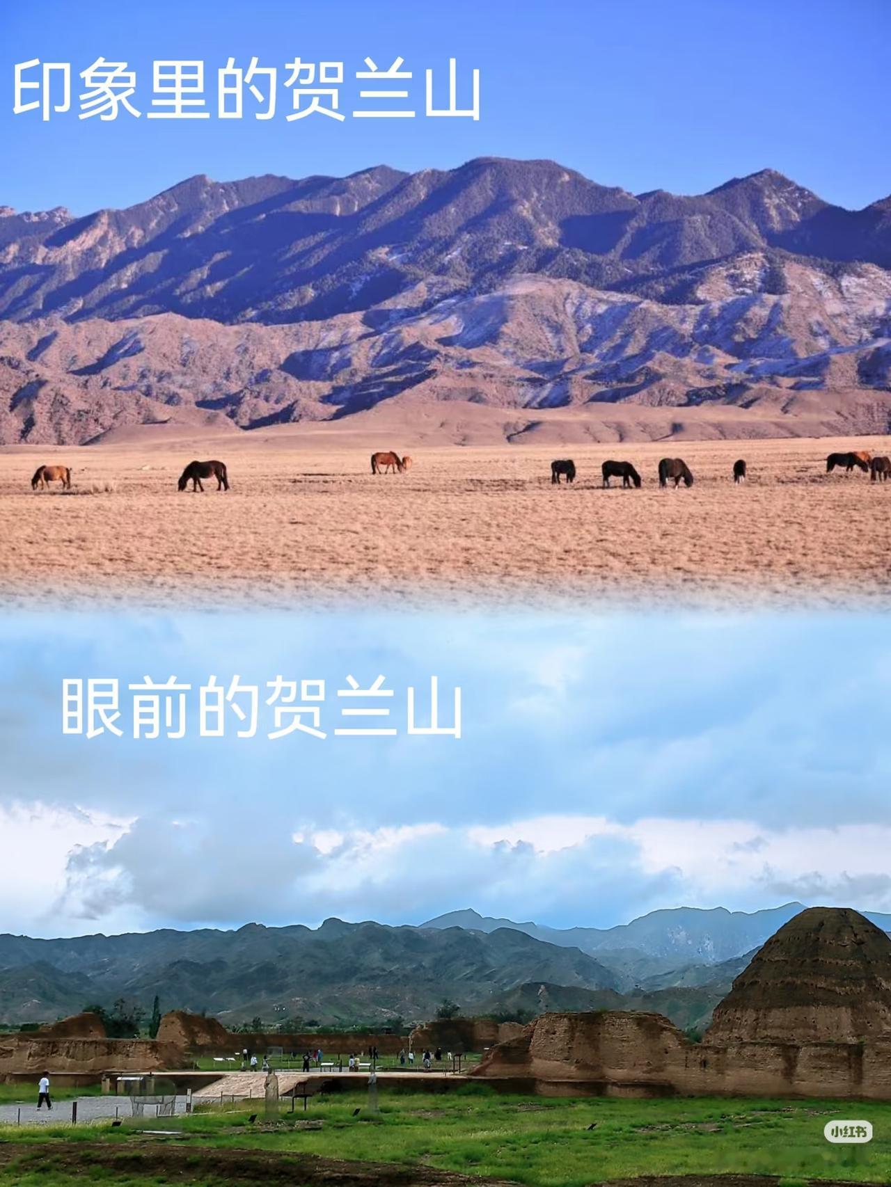 降水线北移真的会重塑山河[灵光一闪][灵光一闪]

也许90%植树造林的功劳，1