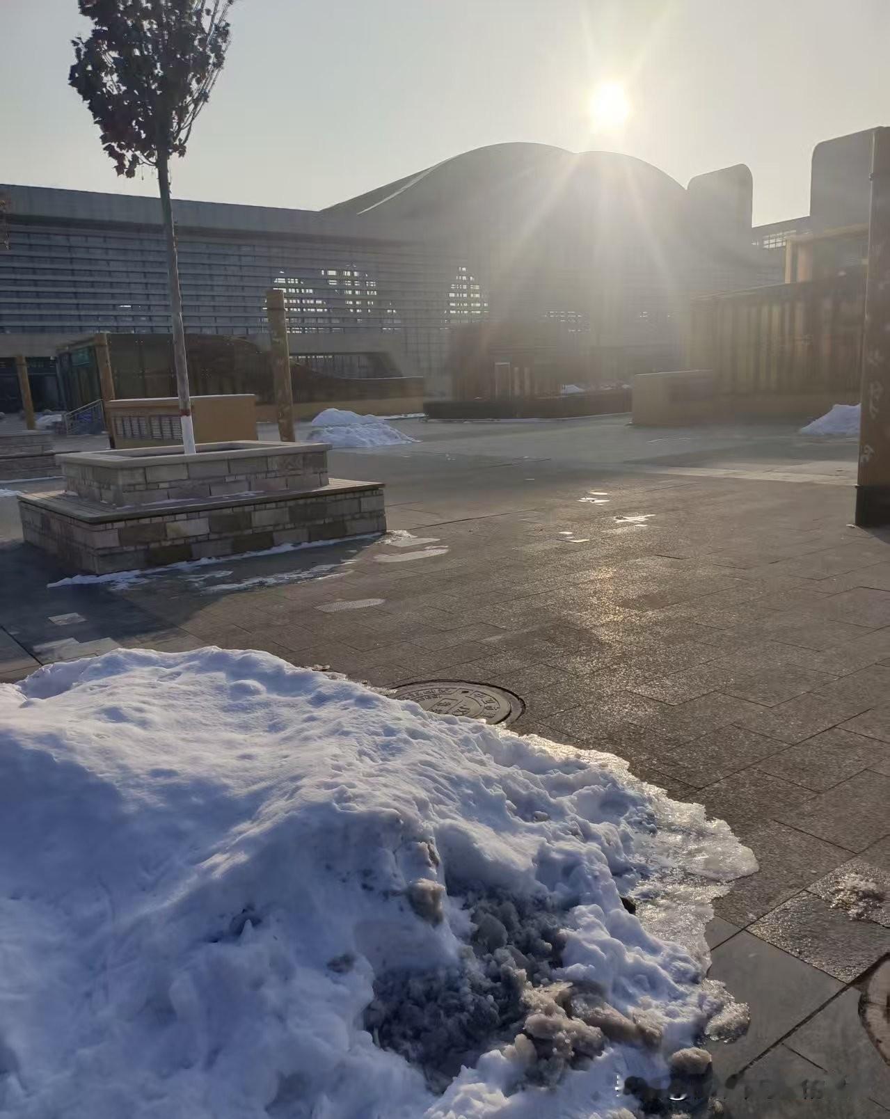 谁能想到，零下几度的天，蹲在雪堆旁晒暖阳能这么治愈！
 
下午四点的太阳斜斜洒下