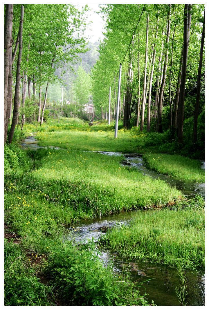 


三九正式开启！这份冬日健康指南，存好温暖过一冬～ | 时令节气与健康