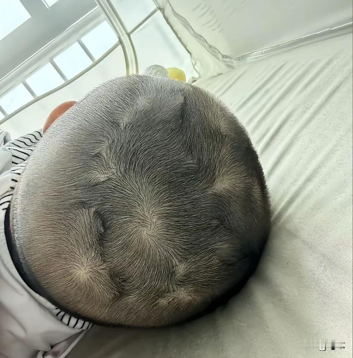这孩子长大了可了不得