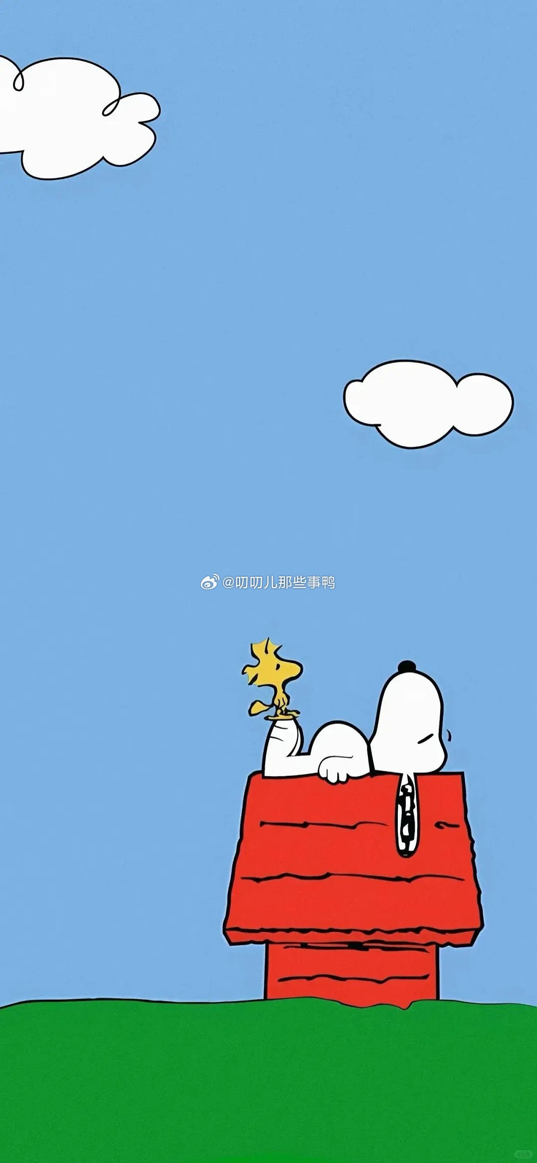 今日🈚投稿，大家早早早鸭～