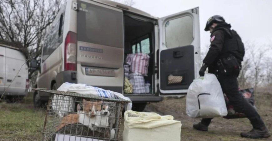 乌克兰机密文件披露：俄军所用弹药七成来自朝鲜 以核技术作交换乌克兰机密文件披露：