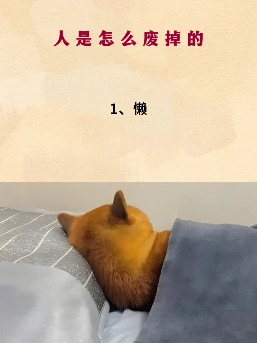 智慧人生 认知 人生哲理 提升自己