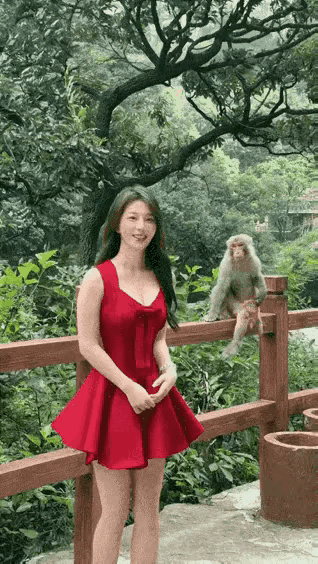 美女调戏猴子，没想到反而被猴子调戏，笑死了。