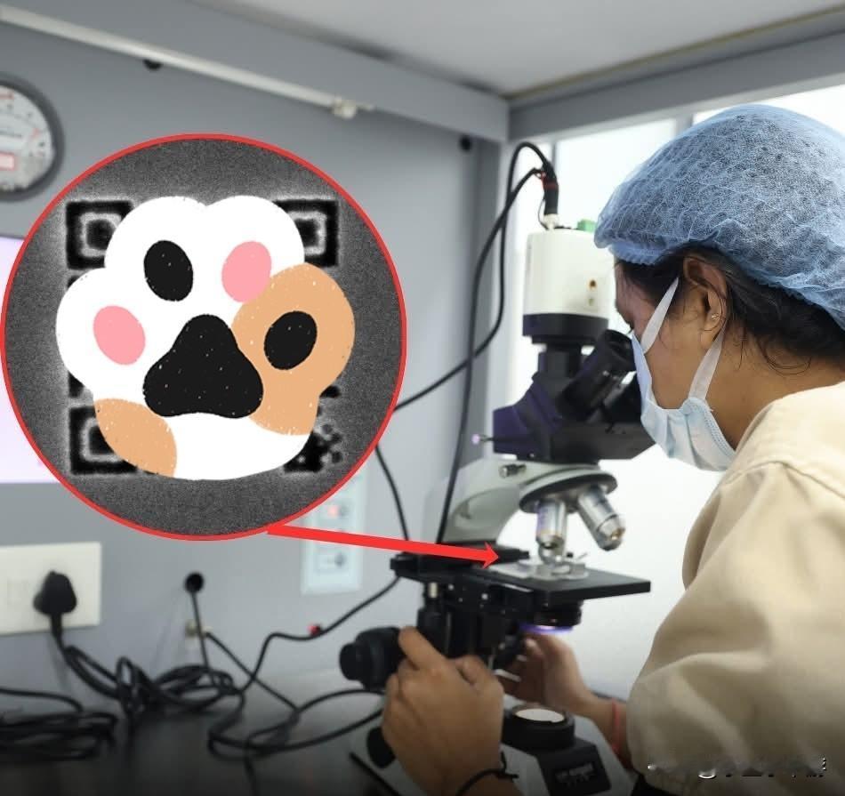 维也纳工业大学（TU Wien）与Cerabyte公司的研究人员，研制出了全球最