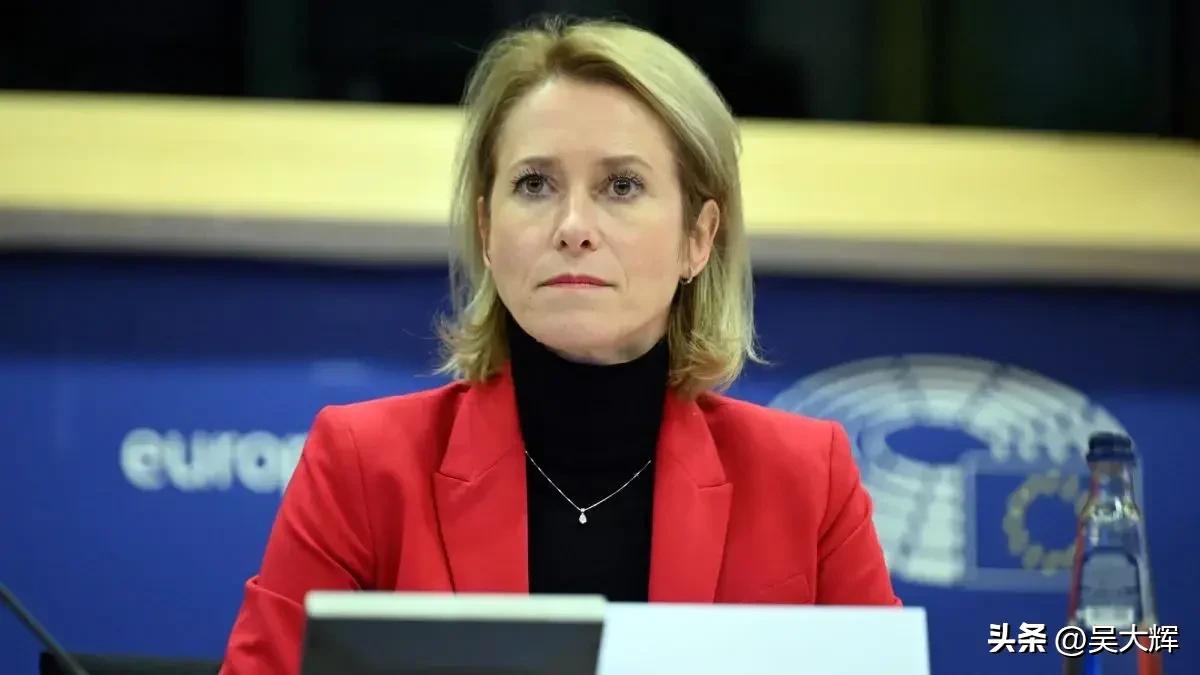 卡拉斯：“顿巴斯不是俄罗斯的最终目的”
 
欧盟呼吁不要逼迫乌克兰在顿巴斯问题上