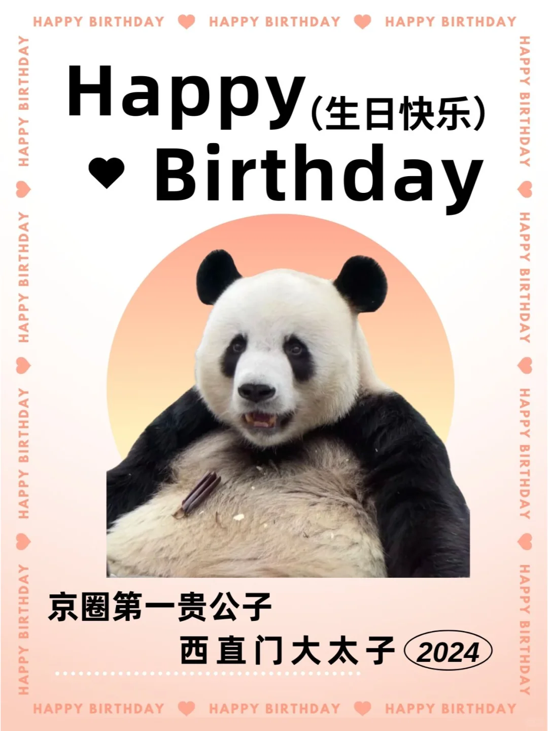 萌大萌二11岁生日快乐！