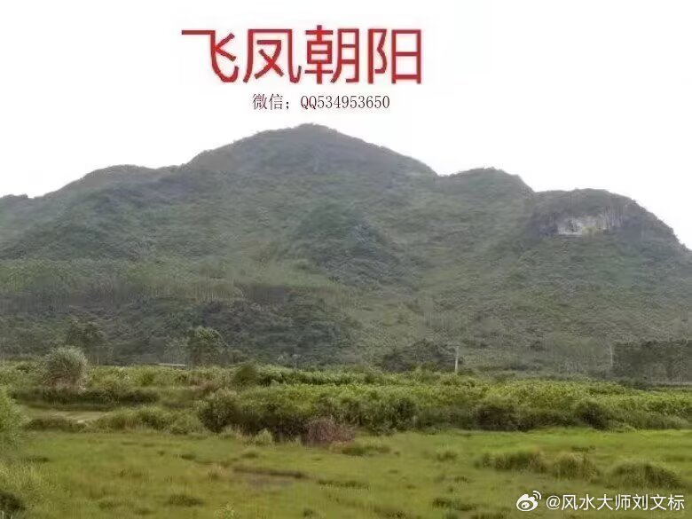 生气的功能是“行乎地中，发而生乎万物。”即运动变化于地（球）中的生气，发而产生世