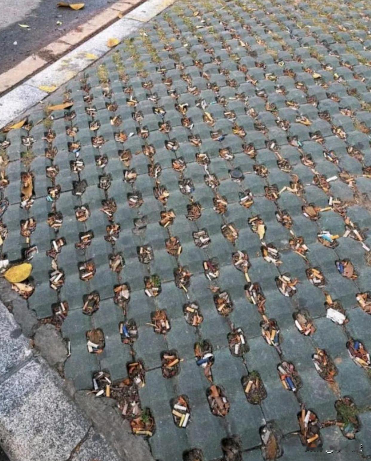 终于明白铺设这种地砖的作用了