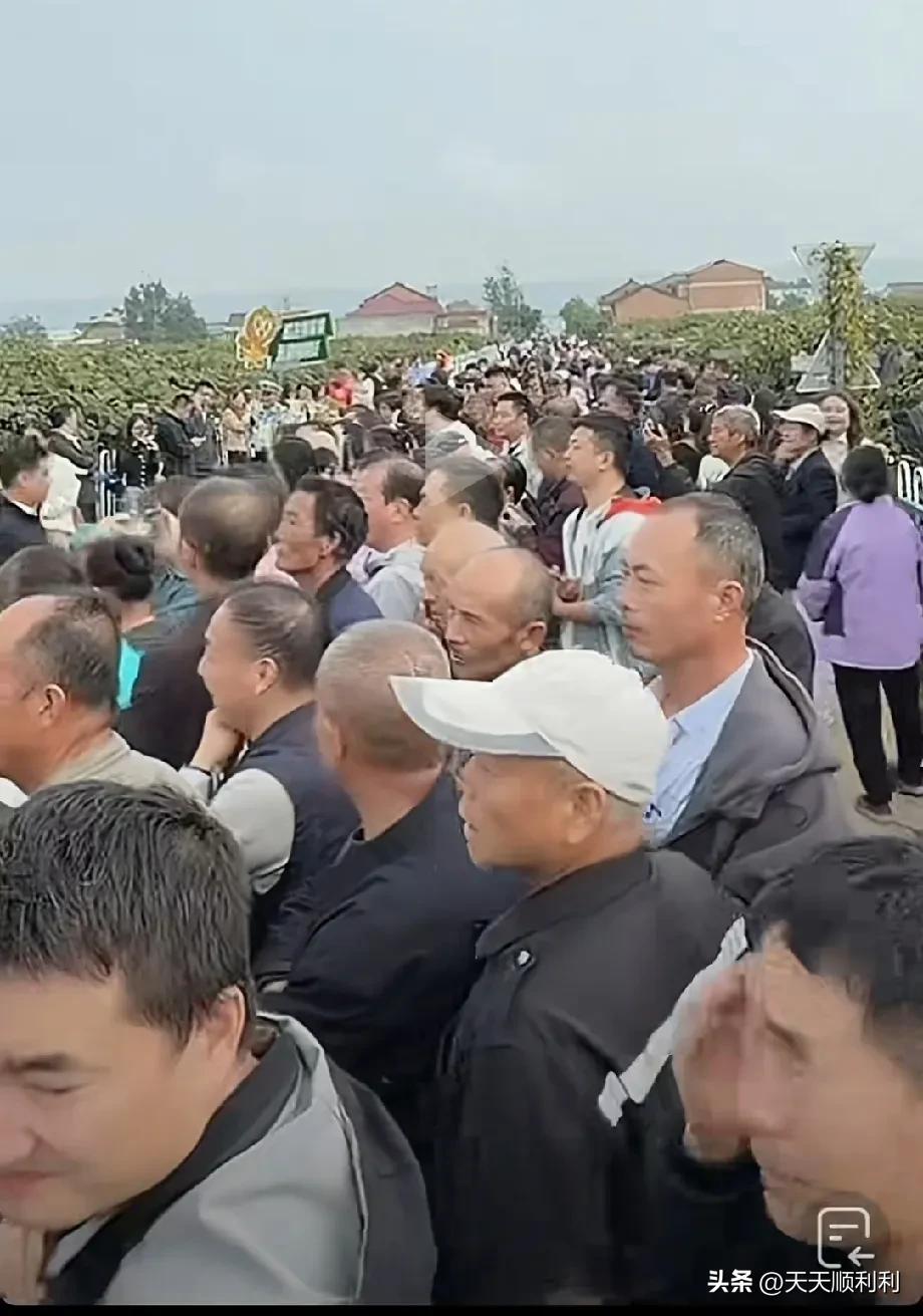 

9月29日，董宇辉回了趟陕西眉县，这一场溯源直播看得人直咋舌。5个小时，卖