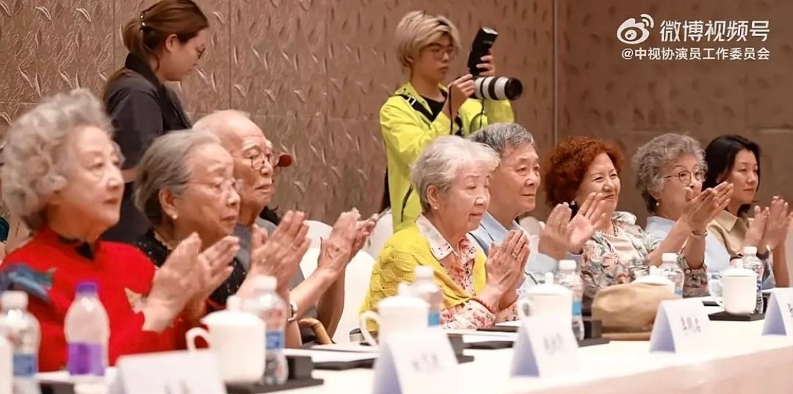 视协演员工作委员会成员我早上还说凯丽出发点好，落地执行走歪了，没想到她也在这个协