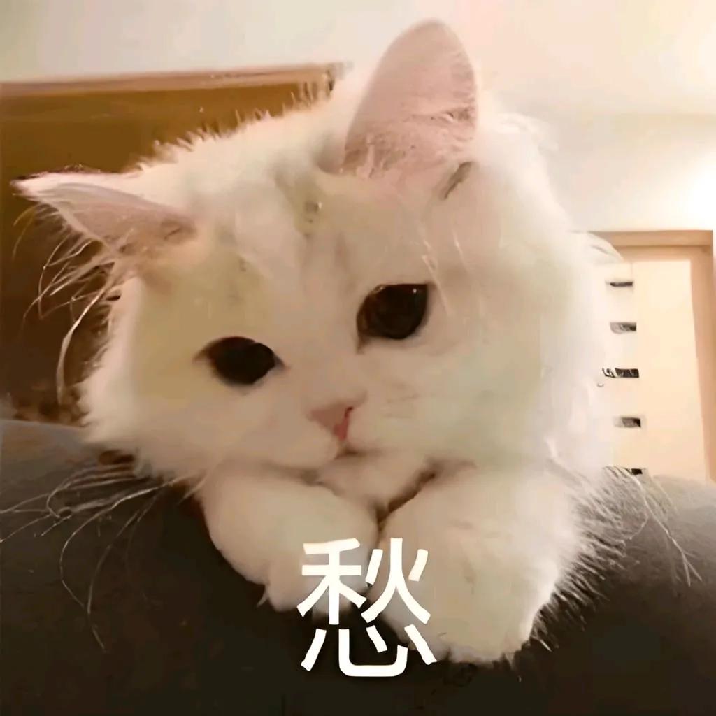 我和前夫离婚的事女儿没和她男朋友说，现在需要谈婚论嫁双方家长见面，我闺女犯愁了，