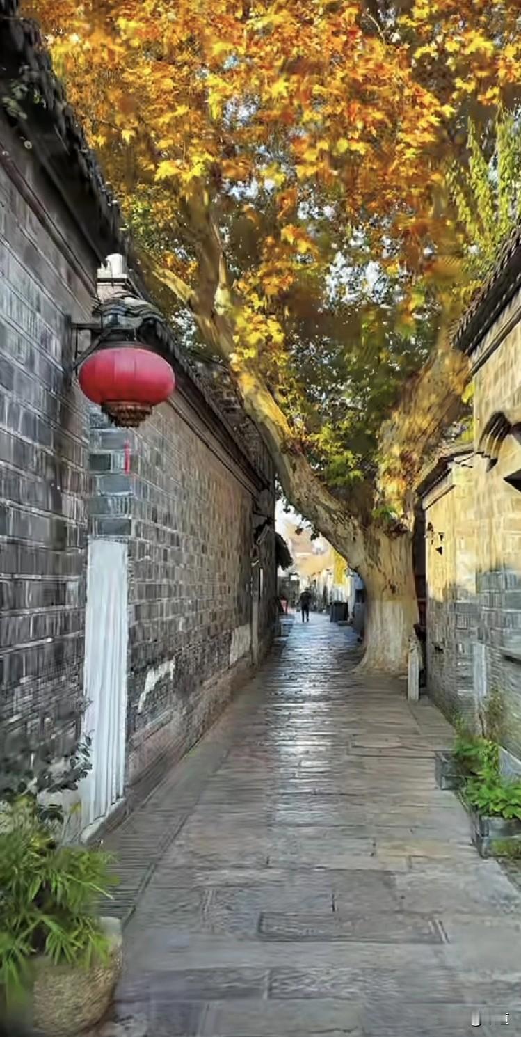 被这句话笑死了，男人靠近你只有两个目的，为了搞你钱，为了搞你不花钱。
这种男人有