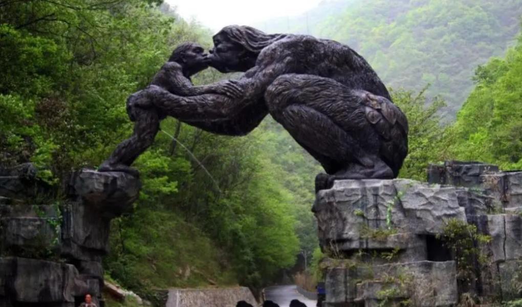 为什么禁止进入神农架深处？一位60多岁的巡山员告诉我：别看神农架拥有大量高等植物