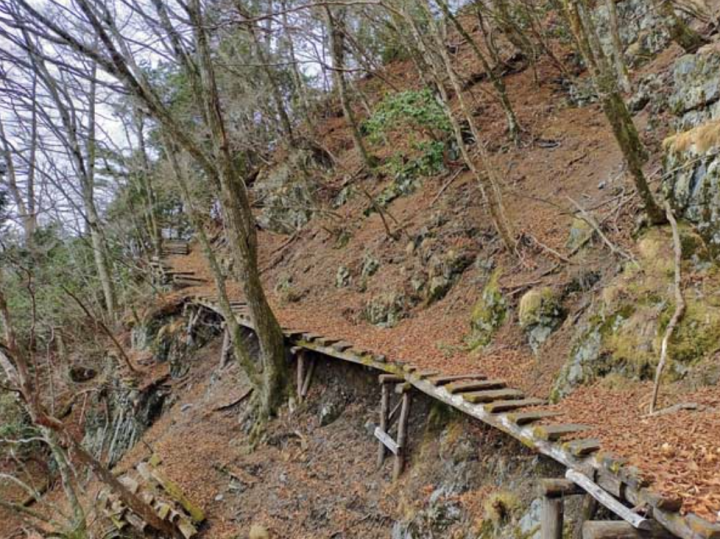 日本熊袭人事件频发！东京山区惊现“半截遗体”，上半身缺失被埋土中，现场散落人骨，警方正调查死者是否遭