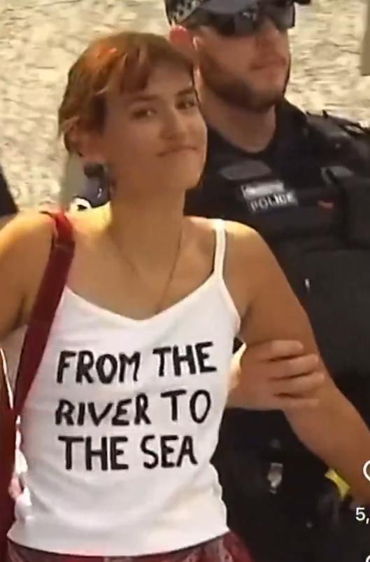 你以为西方社会就有言论自由，错了，西方的言论自由现在堪比文字狱，甚至比起清朝文字