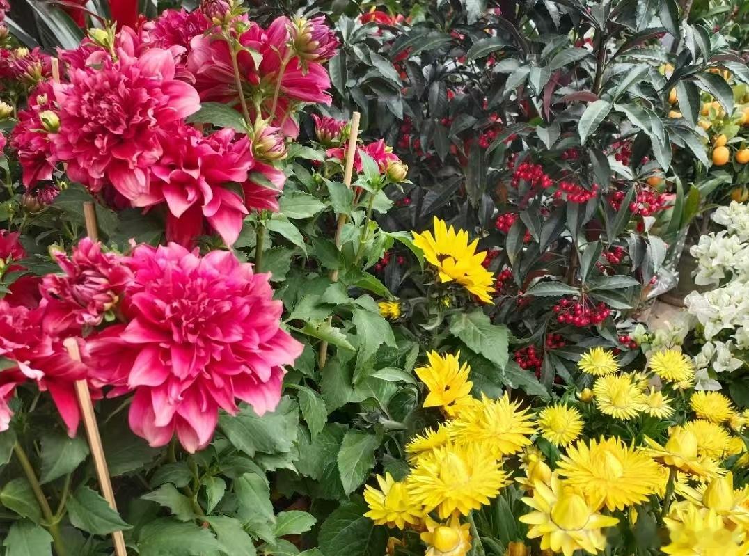 年年花相似，岁岁人不同。青春一去不复返，爱过恨过痛过又如何，曾经所有的执念与不舍