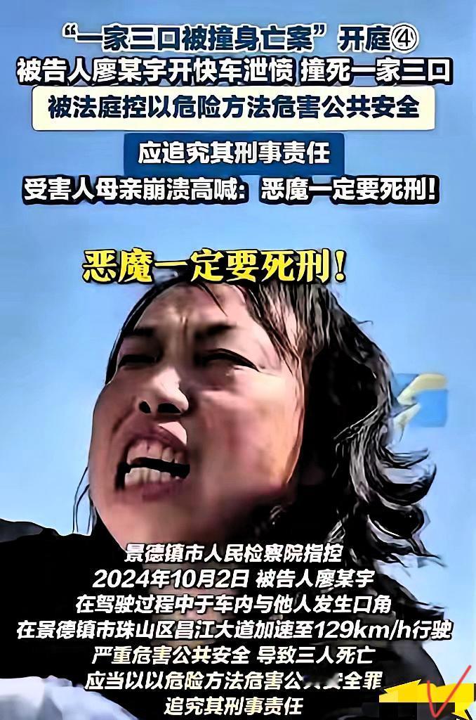 廖某宇案抗诉被驳回，
这结果真的寒了无数普通人的心！
三条鲜活生命，还有个仅11
