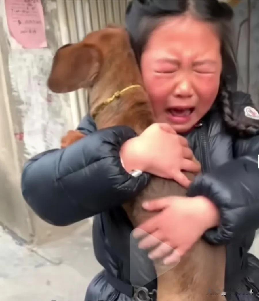 小女孩带着狗走丢了，时隔十多日又偶然相逢，女孩抱着狗狗哭得像个泪人儿，许久都不肯