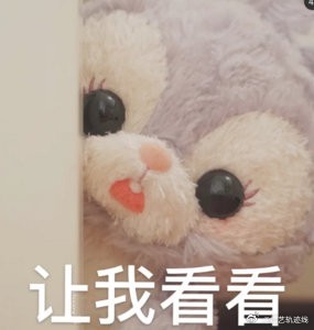 白鹿粉丝对于正老板的看法各异，我好奇他们的想法[思考]。 ​​​
