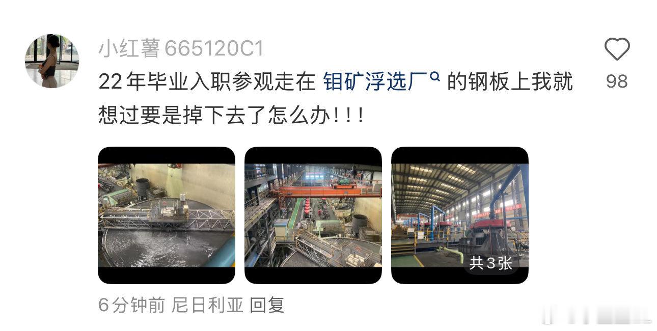 6名大学生在企业参观学习时溺亡     不敢想象他们从这掉下去的时候得有多绝望？