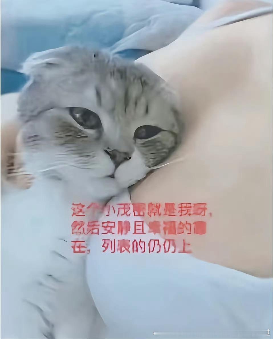 分享图片 