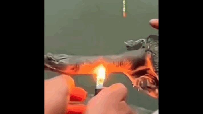 大哥杀甲鱼被咬住手指，火烧头壳几分钟才松口。
视频里他嗷嗷叫，旁边人递打火机，火