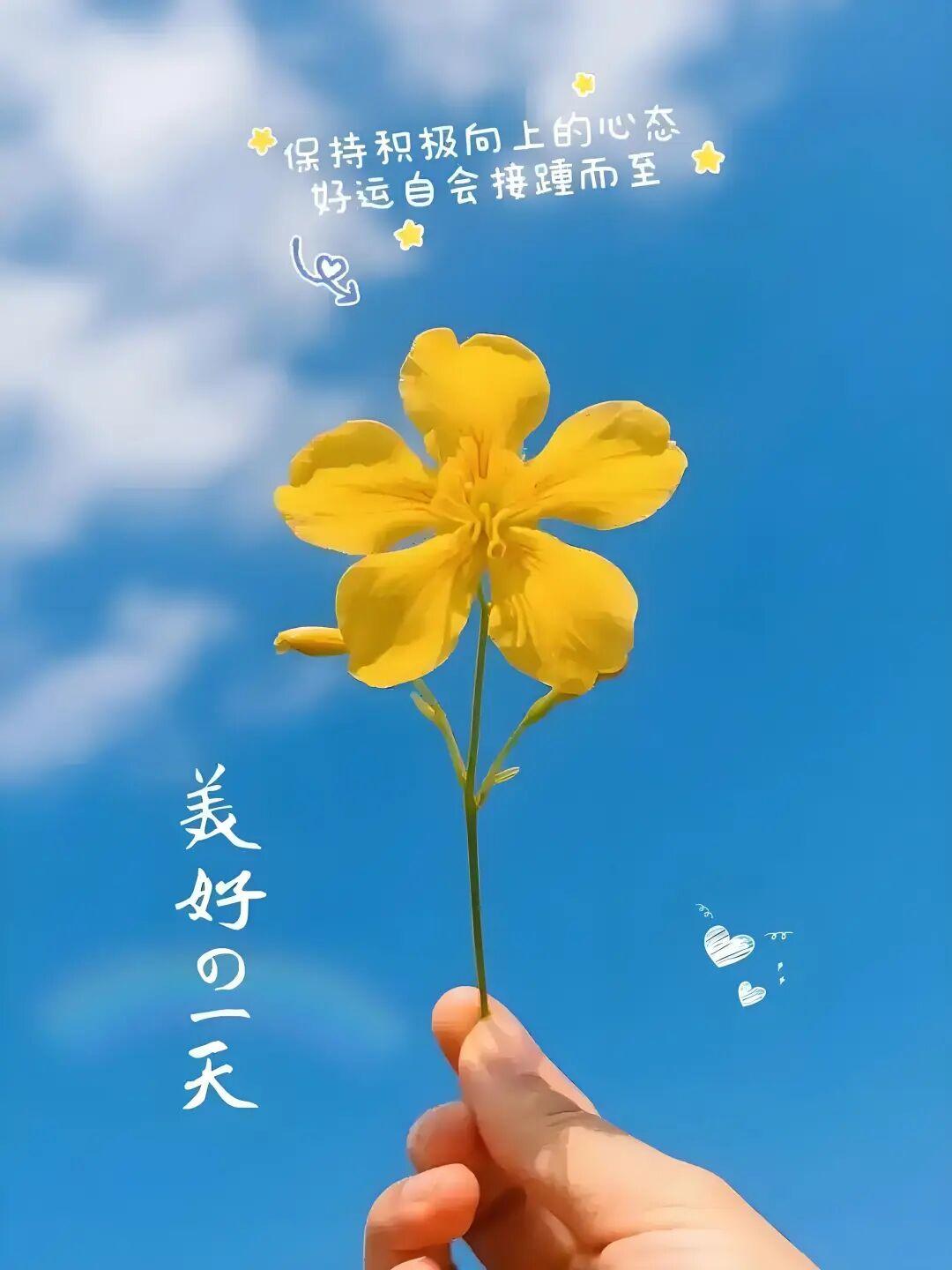 晨光温柔，清风正好，
                     晨起问声好，好运