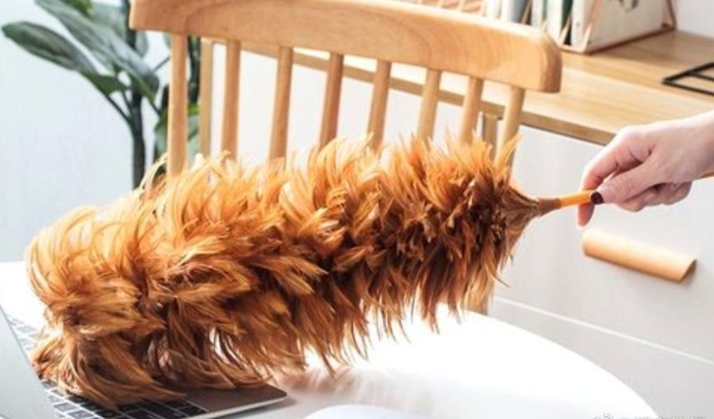 75岁的林阿姨最近遇到了糟心事：家里有间长期空置的房间，她想着彻底打扫干净备用，