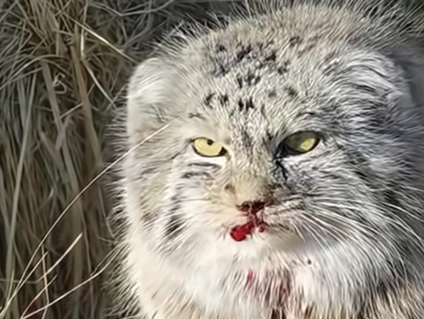 感受过秃然来袭么