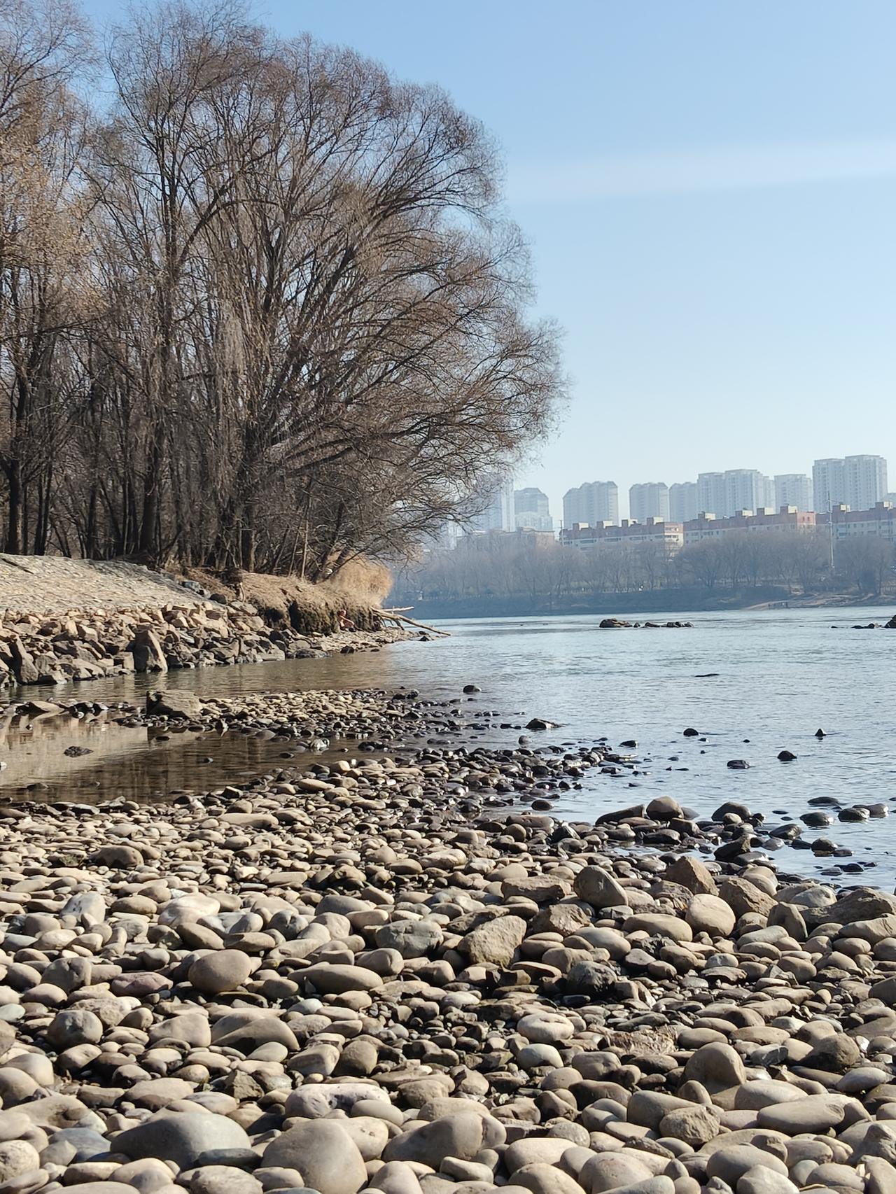 赶紧开车出门到黄河边去晒个太阳，发现了黄河的水很清，比家里用的自来水还干净。
