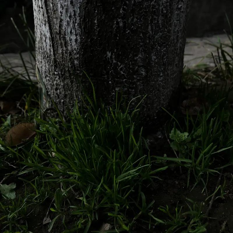 看到“一山一水一风景”这个上联，我脑海里瞬间开始琢磨下联。上联营造了一种宁静悠远