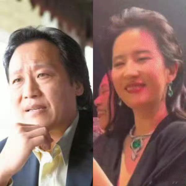刘冲模仿刘诗诗 白化摄魂怪谁能告诉我刘亦菲和陈金非为什么原来越像了？前几天刘亦菲
