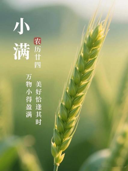 小满时节建议吃点苦    冰箱里正好还有一条苦瓜，那就吃点“苦”吧！    小满