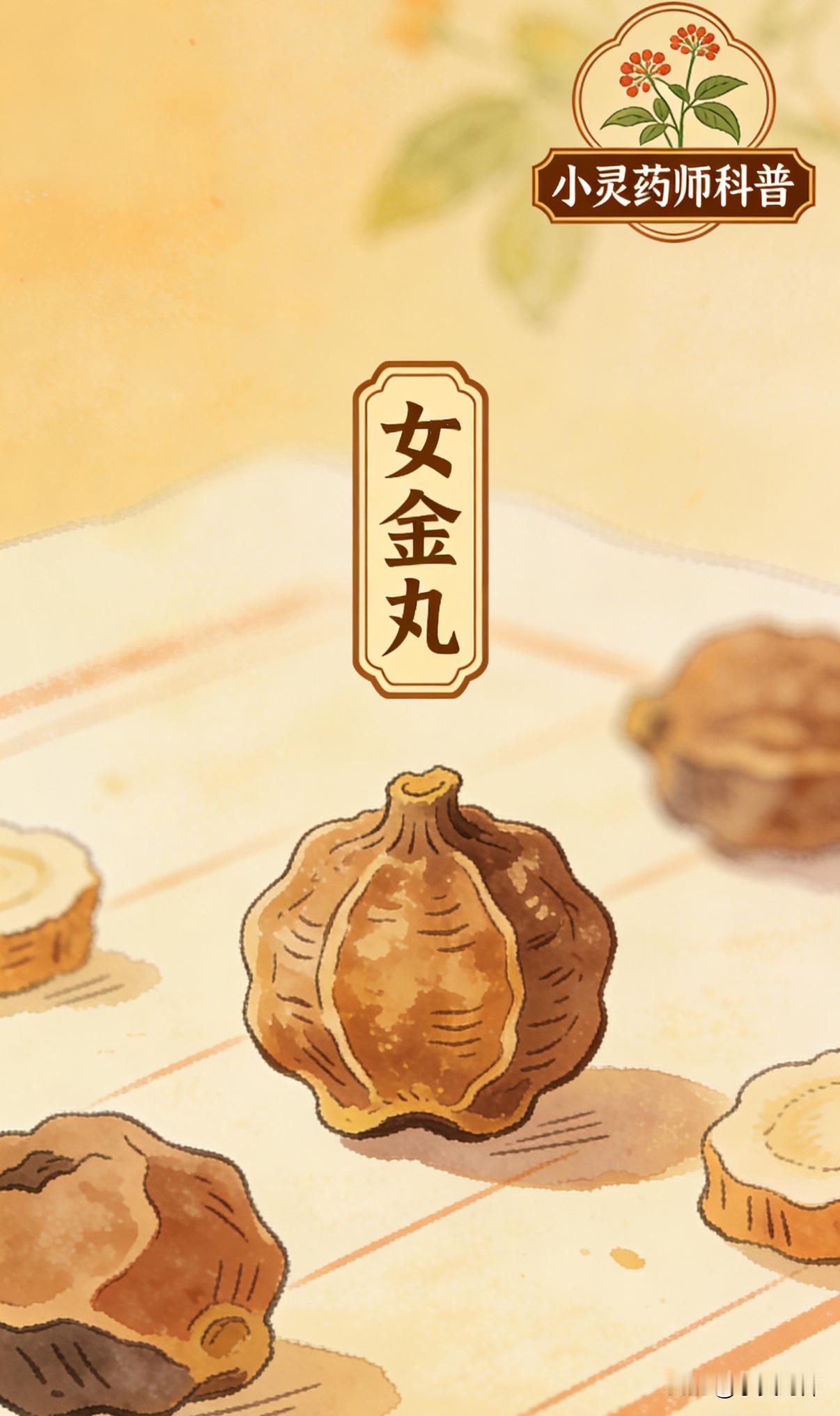 每天了解一个药品之女金丸
成份:当归、白芍、川芎、熟地黄、党参、炒白术、茯苓、甘