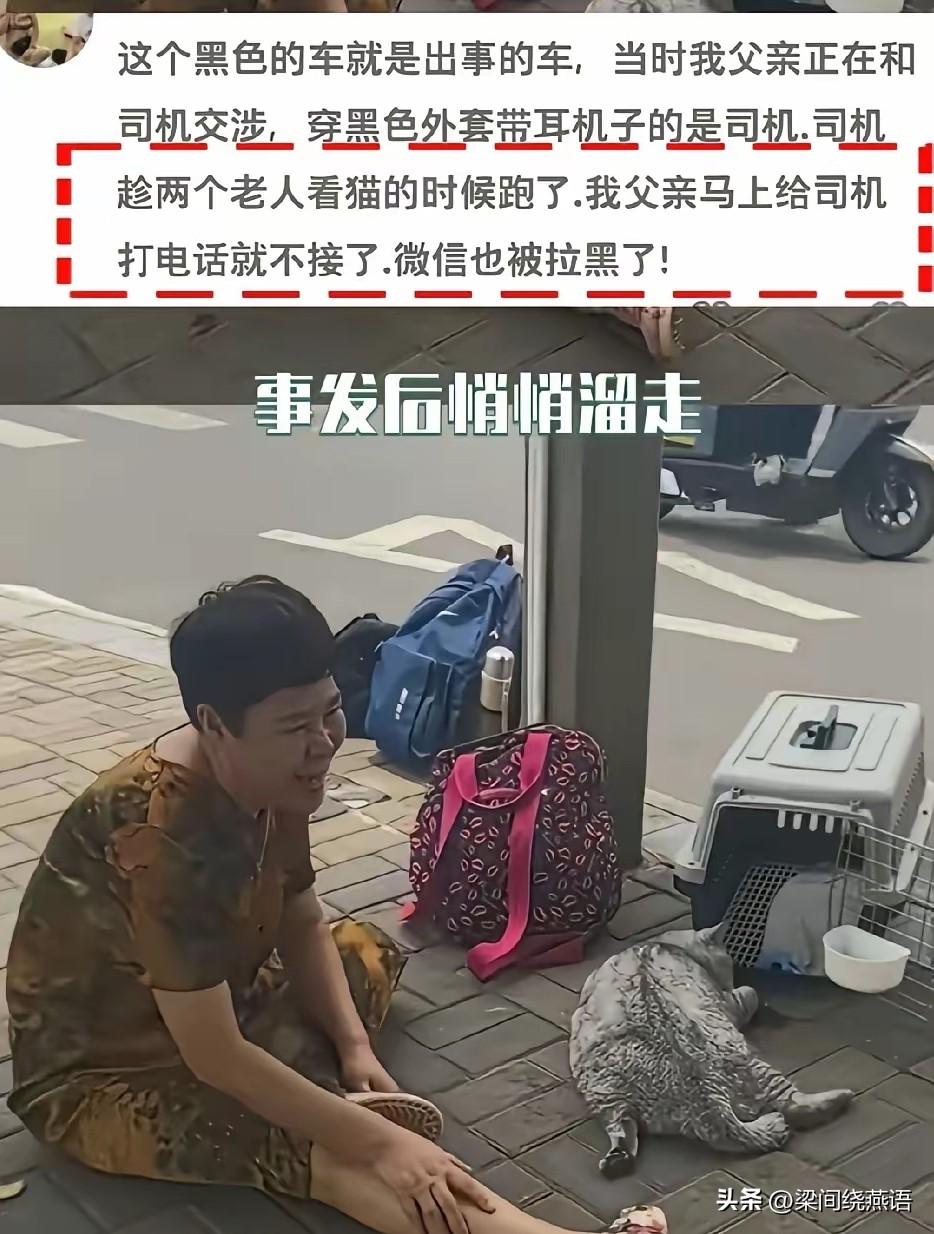 一早上刷到这条视频，眼泪根本止不住。海南一位阿姨因为不能带猫坐飞机，花大价钱包了