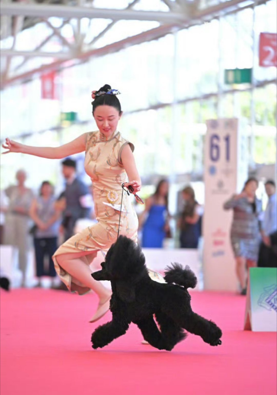 泰国国家旅游局发文致歉我相信事出反常必有妖，这个粉丝有没有守规矩大家心里都有数。