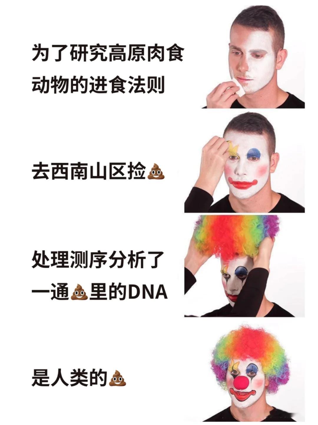 “你有时间简史吗？”“我有时间也不捡好吧？？！”下面你将看到：野 生 动 物 研