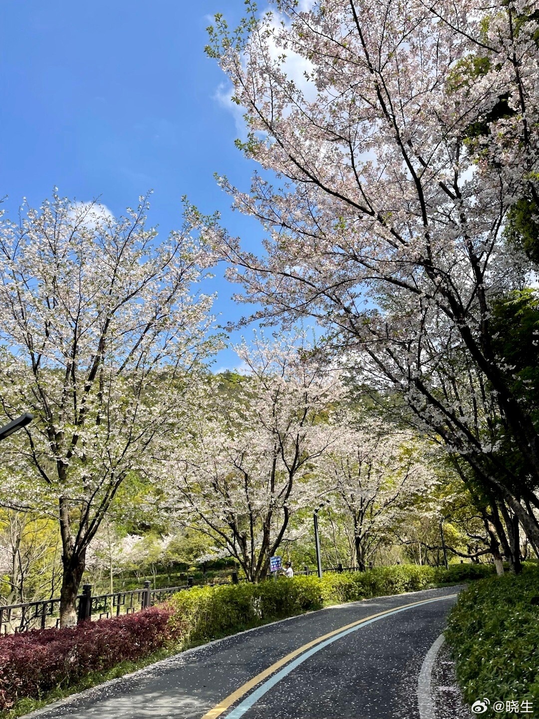 宋出轨这个事情吧，再接着看，仍然还是有个可聊的点也是昨儿和大家说的，这种老妈和好