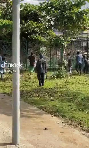 孟加拉国骚乱越来越无耻，竟然连动物园的动物都开始抓了，一群人一起上阵。一个反对派