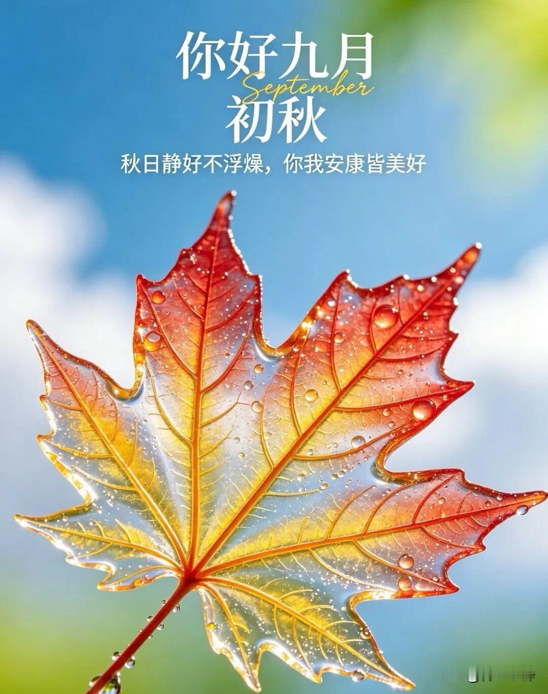 🌙🍂²º²⁶/₀₉.₀₁☀️ᴹᴼᴿᴺᴵᴺᴳ🌿☕️🍒🍑
九月新月启，秋风