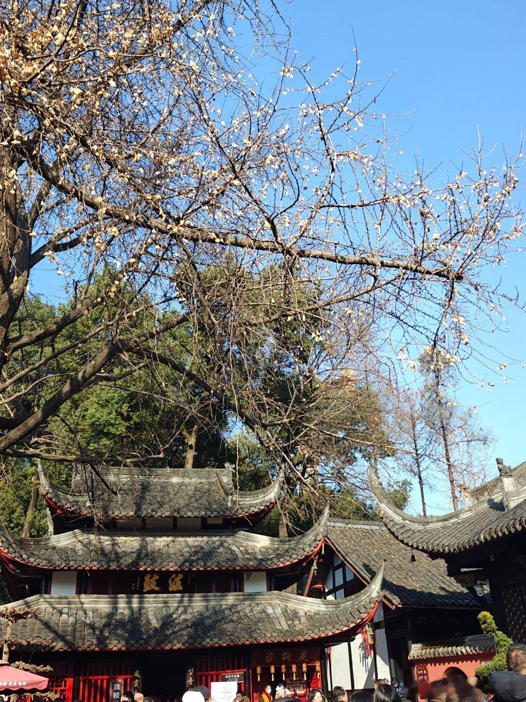 第五人格[超话] 一个月卡宝宝咪   