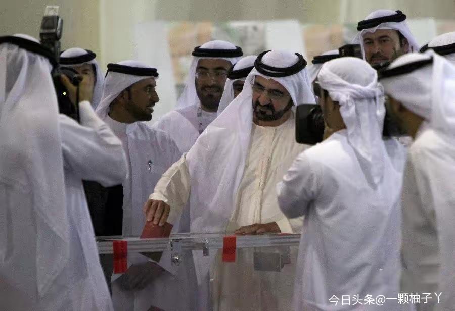 阿联酋确实正式致信联合国，申请援引《联合国宪章》第七章，授权包括武力在内的一切手