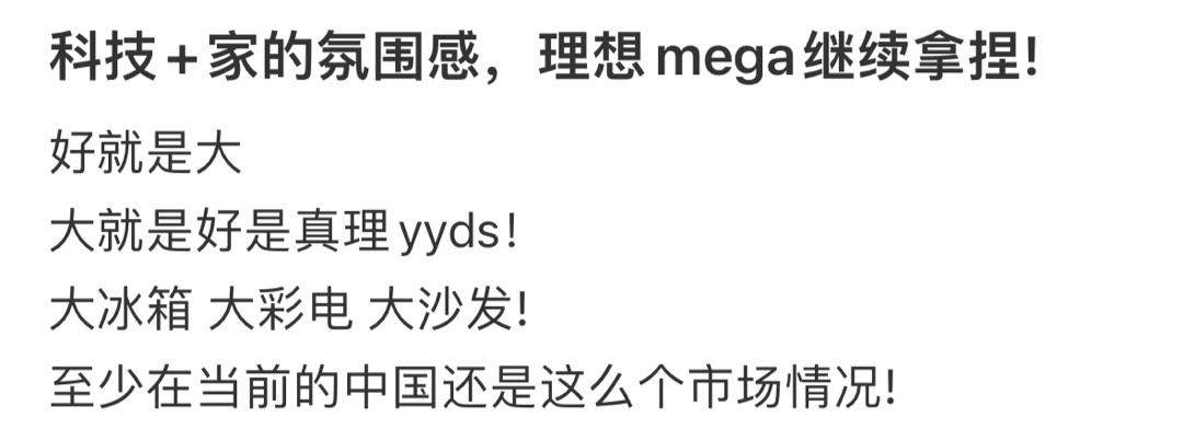科技+家的氛围感，理想mega继续拿捏！ ​​​