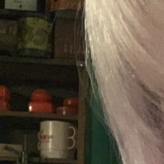 0000善行缘于善心，有着善的心灵，就如同一股清泉，永不枯竭，清纯甘甜，发自内心