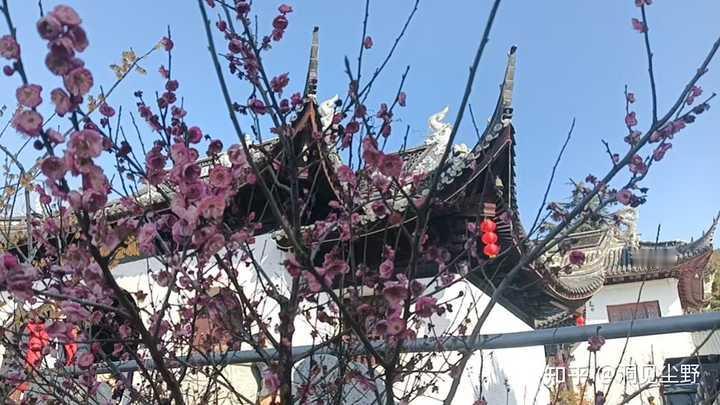 为什么到了2026年还有千千万万人愿意支付高额彩礼和上交工资卡？
明明多少人趟过